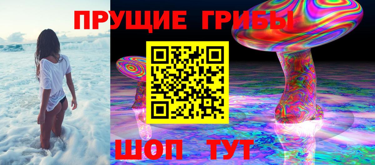 хочу наркоту  Вход с VPN  Клинцы  Псилоцибиновые грибы Psilocybe 